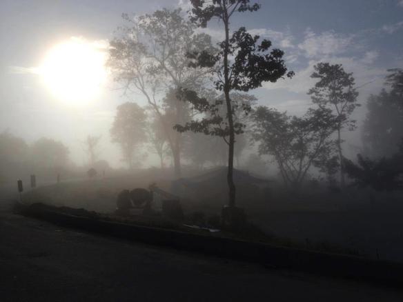 253040_331206956978568_1250414051_n