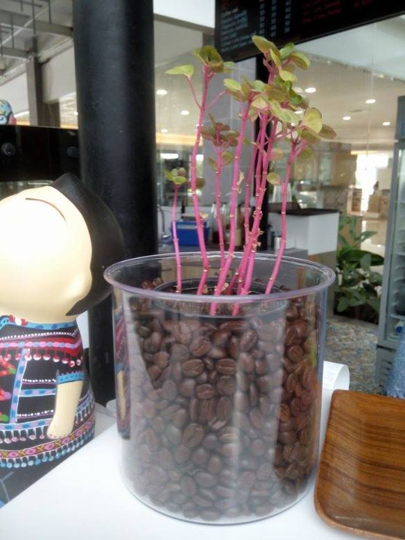 10723200_544761135655023_372953050_n