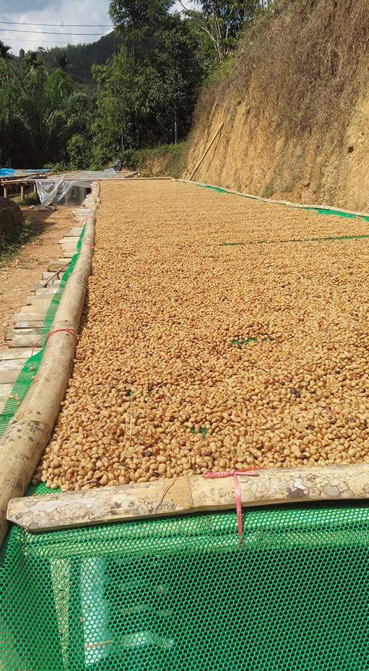 15424601_10209748402205219_1809115183_n